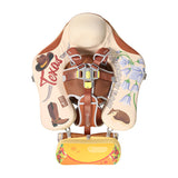 Mambobaby™ Texas babyfloat zonder lucht – Zwemhulp voor baby met harnas en UV-kap, dierenprint en bladeren